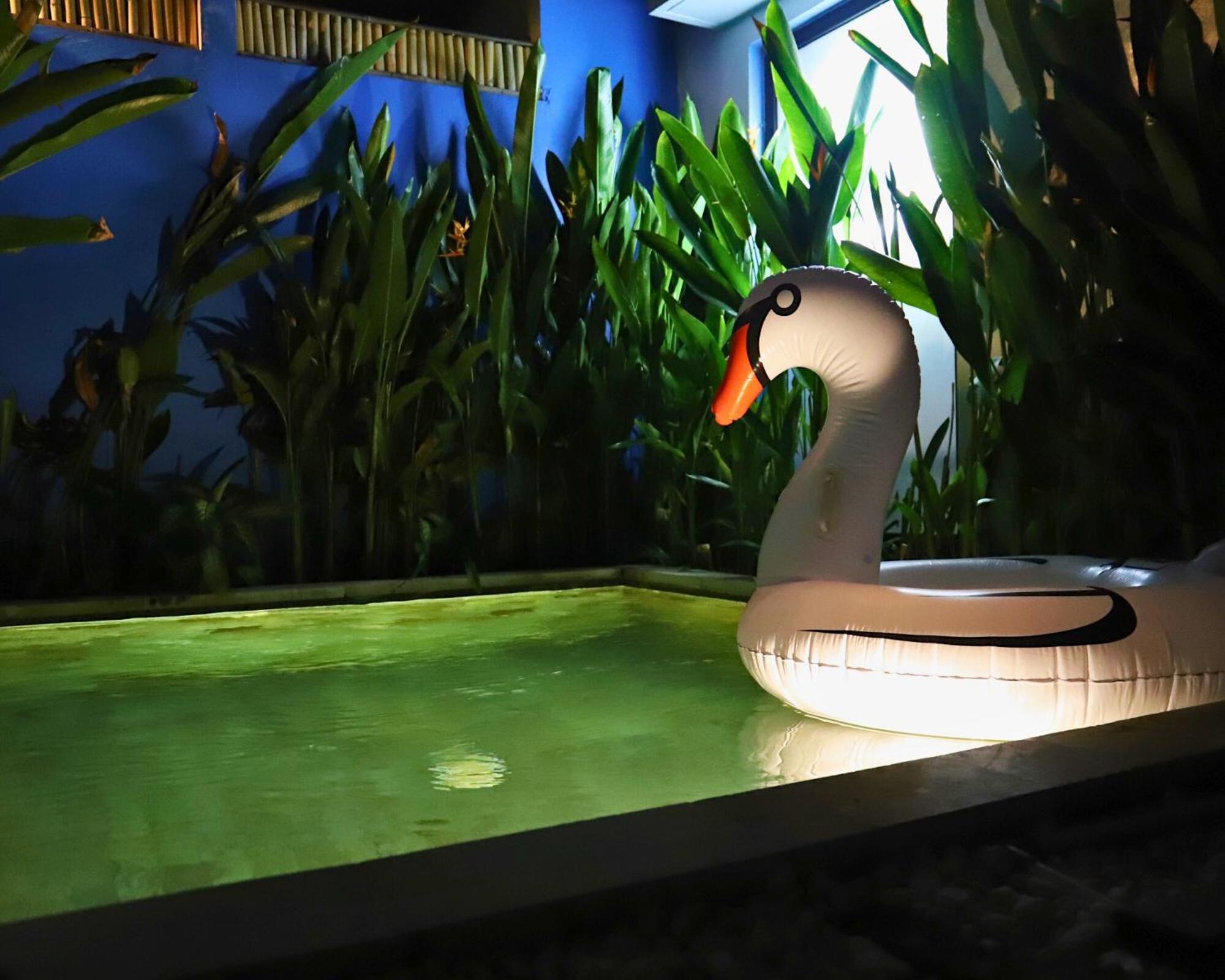 Peacock Private Pool Paradise Dalung  Exterior photo