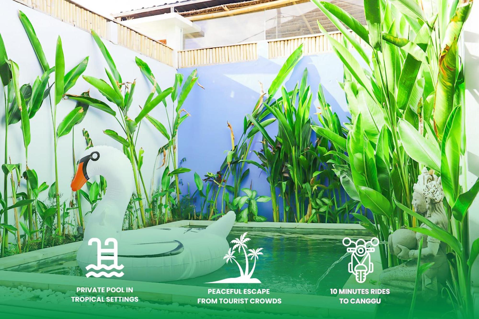 Peacock Private Pool Paradise Dalung  Exterior photo
